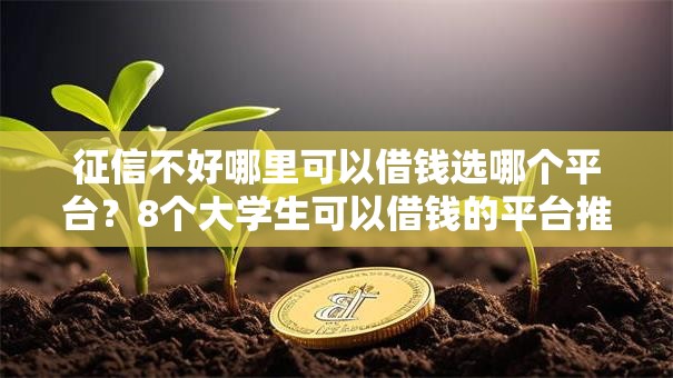 征信不好哪里可以借钱选哪个平台？8个大学生可以借钱的平台推荐