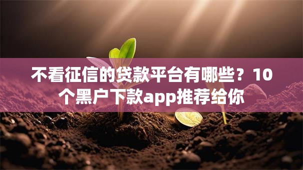 不看征信的贷款平台有哪些？10个黑户下款app推荐给你