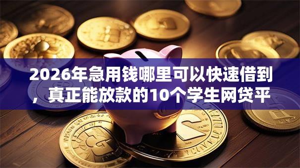 2026年急用钱哪里可以快速借到，真正能放款的10个学生网贷平台推荐