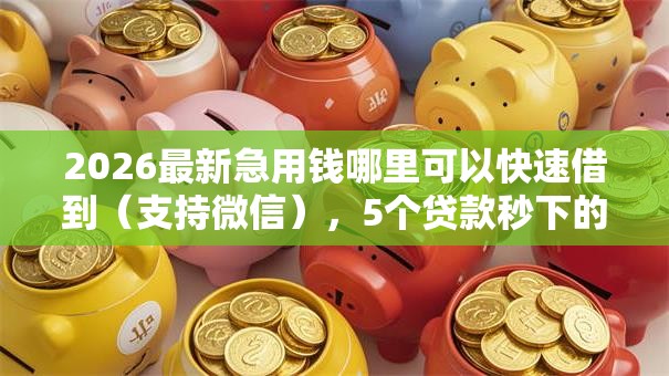2026最新急用钱哪里可以快速借到（支持微信），5个贷款秒下的口子无私分享