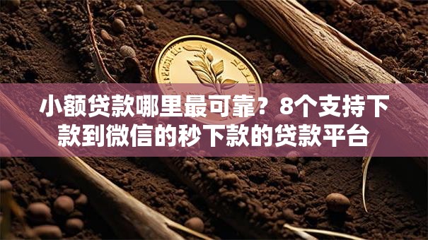 小额贷款哪里最可靠？8个支持下款到微信的秒下款的贷款平台