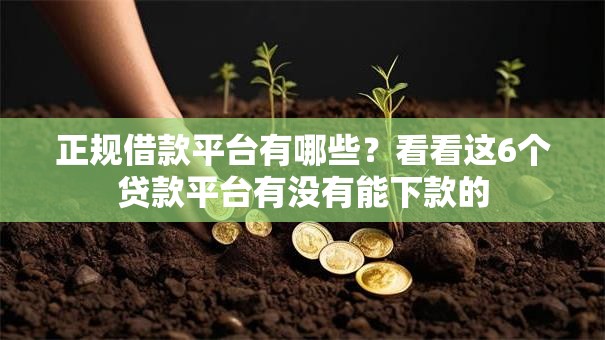 正规借款平台有哪些？看看这6个贷款平台有没有能下款的