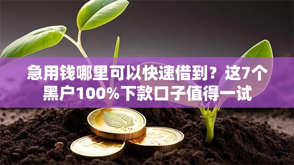 急用钱哪里可以快速借到？这7个黑户100%下款口子值得一试
