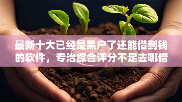 最新十大已经是黑户了还能借到钱的软件，专治综合评分不足去哪借钱