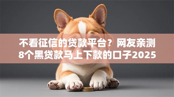 不看征信的贷款平台？网友亲测8个黑贷款马上下款的口子2025盘点
