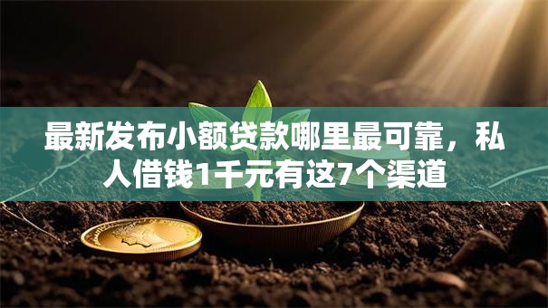 最新发布小额贷款哪里最可靠，私人借钱1千元有这7个渠道