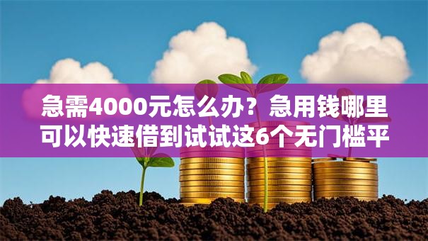 急需4000元怎么办？急用钱哪里可以快速借到试试这6个无门槛平台