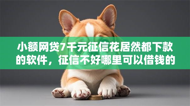 小额网贷7千元征信花居然都下款的软件，征信不好哪里可以借钱的5个平台介绍