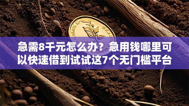 急需8千元怎么办？急用钱哪里可以快速借到试试这7个无门槛平台