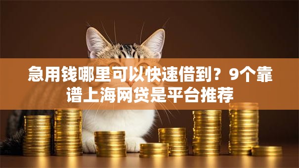 急用钱哪里可以快速借到？9个靠谱上海网贷是平台推荐