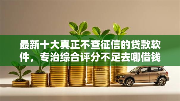 最新十大真正不查征信的贷款软件，专治综合评分不足去哪借钱