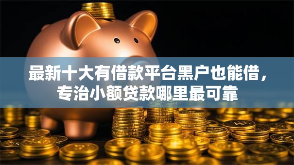 最新十大有借款平台黑户也能借，专治小额贷款哪里最可靠