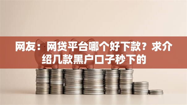 网友：网贷平台哪个好下款？求介绍几款黑户口子秒下的