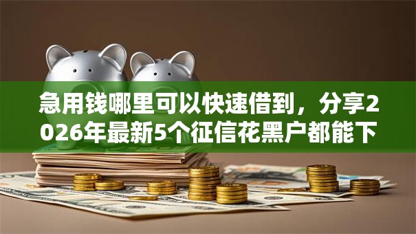 急用钱哪里可以快速借到，分享2026年最新5个征信花黑户都能下款的平台