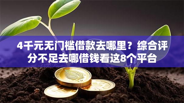 4千元无门槛借款去哪里？综合评分不足去哪借钱看这8个平台