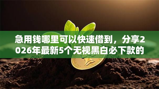 急用钱哪里可以快速借到，分享2026年最新5个无视黑白必下款的网贷平台